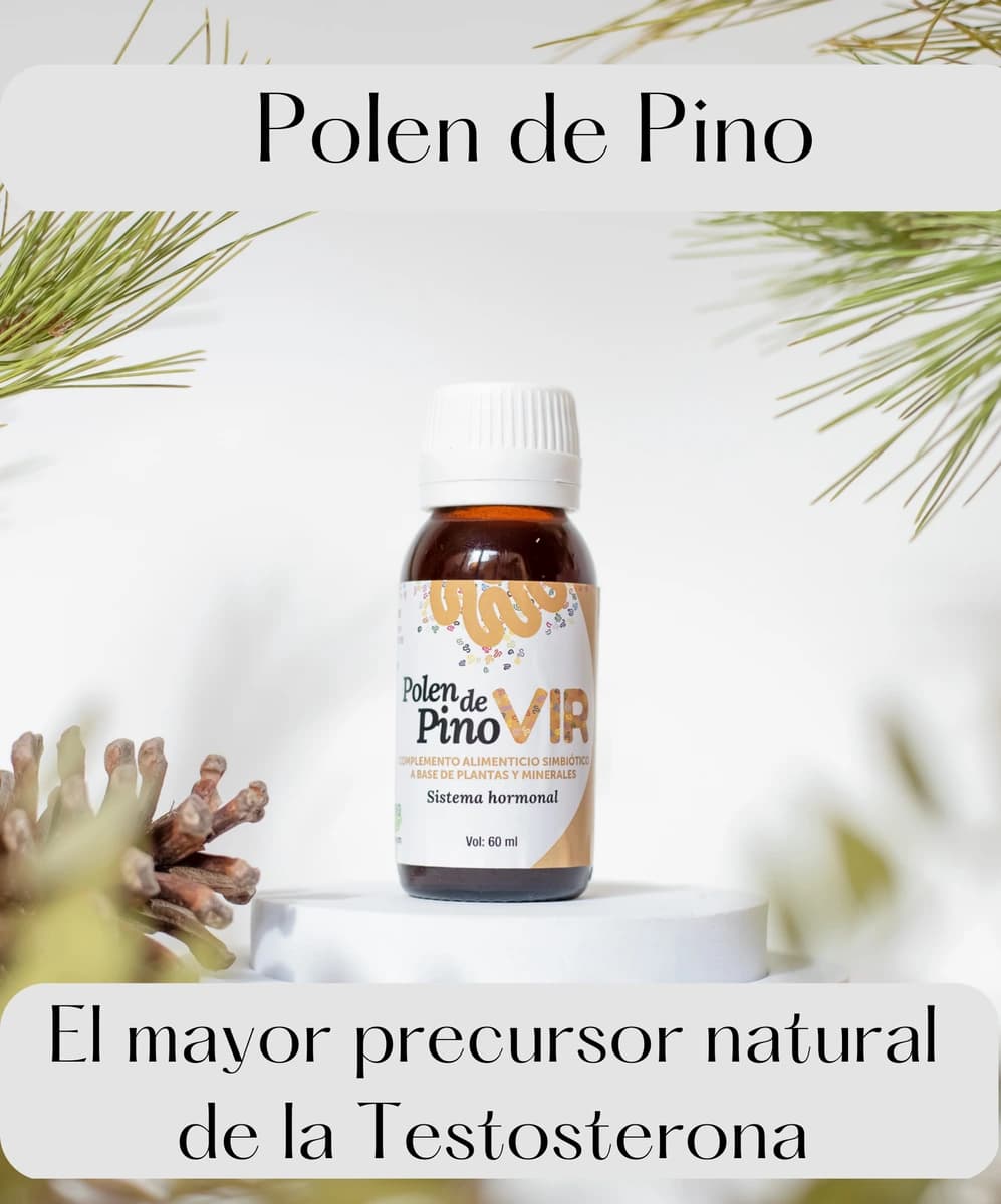 Polen de pino en ambiente natural con ramas de Pinus sylvestris